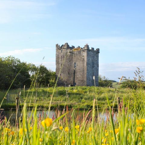 Take leisurely morning strolls around five acres of mature grounds