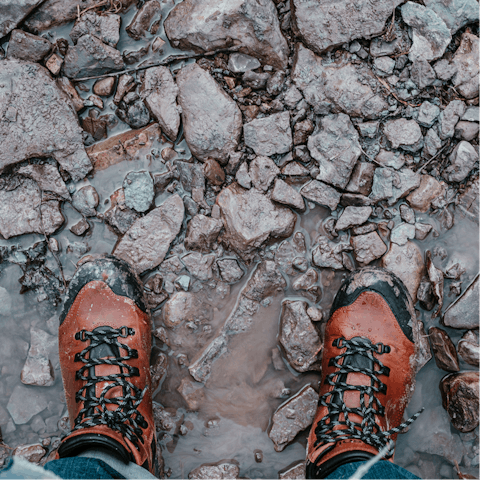 Hike through the Luberon National Park that surrounds the home