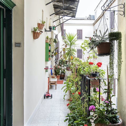 Soak up the greenery welcoming you at the door