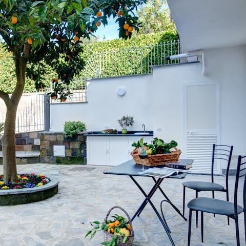 Enjoy the peace and privacy of the patio