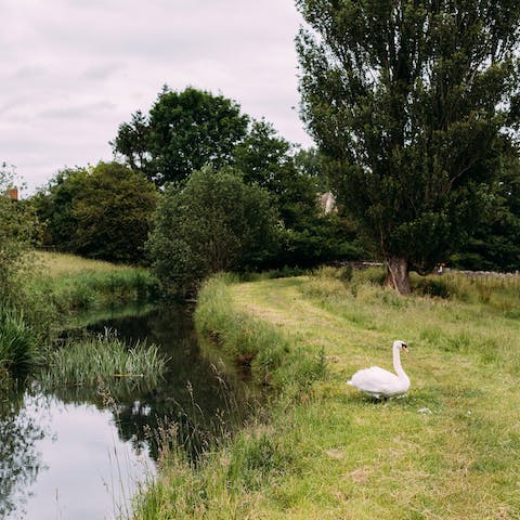 Walk along the River Coln and discover the area's outstanding natural beauty