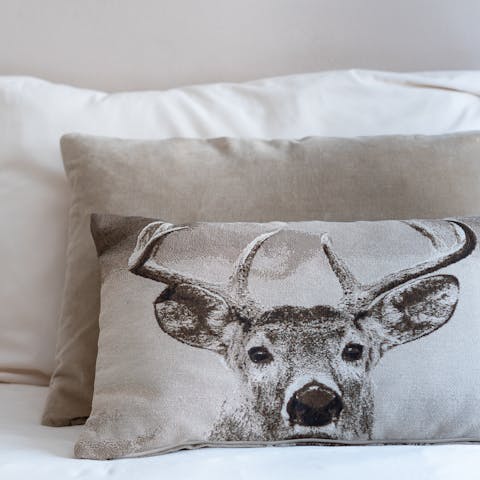 This playful pillow case