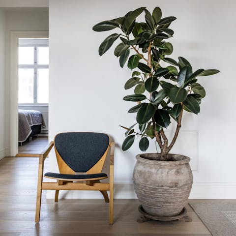 Plenty of nature touches