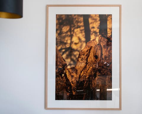 The host's eye for photography