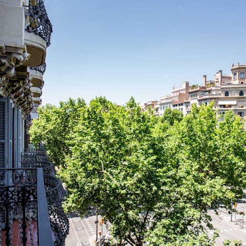 Gaze out across the tree-lined street from your balcony