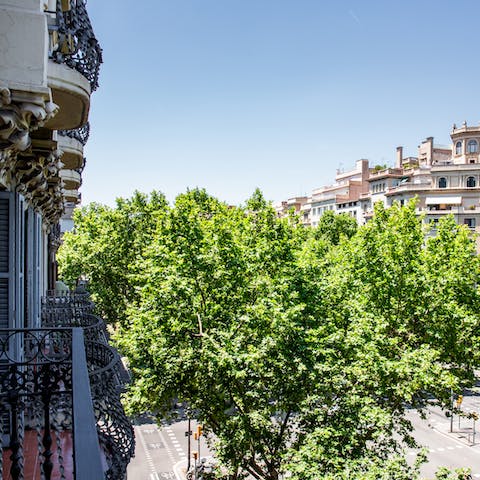 Gaze out across the tree-lined street from your balcony