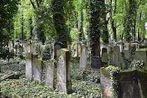 Visit the Jewish cemetery at Schönhauser Allee