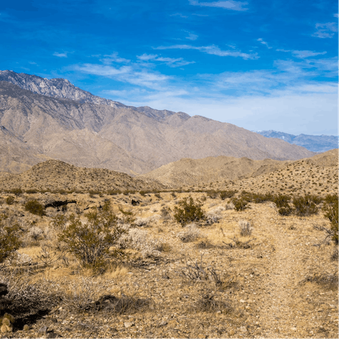 Pull on your walking boots and hike through the Indian Canyons, a ten-minute drive away