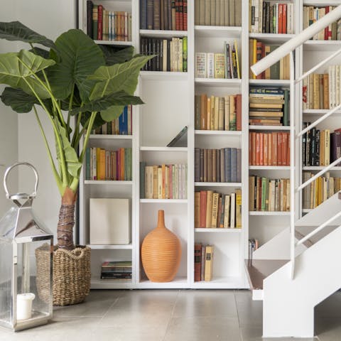 These book-filled shelves