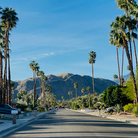 Make the short drive to Downtown Palm Springs