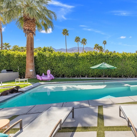 Lounge by the pool, a cocktail in hand