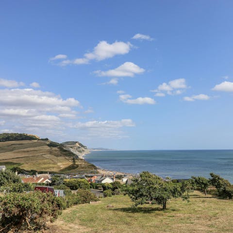 Explore the world-famous Jurassic Coast