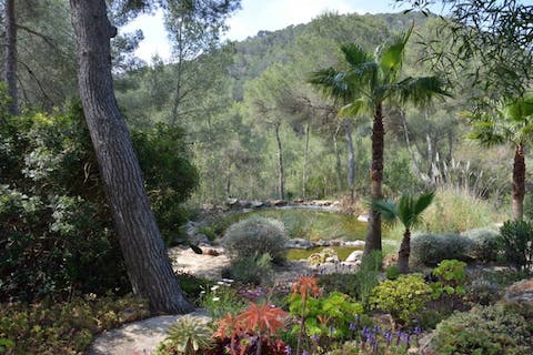 Explore your huge private garden