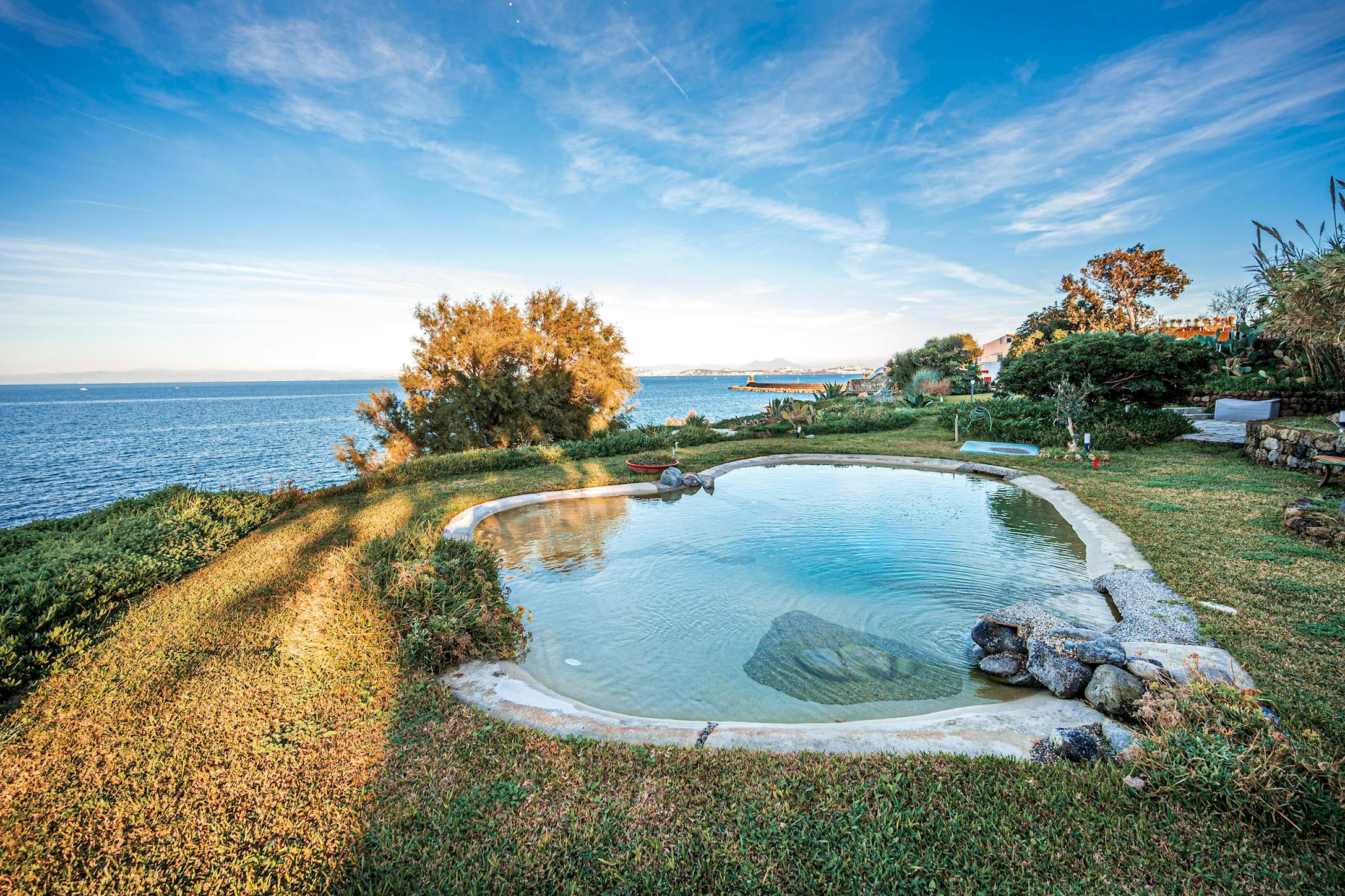 Blue Hearts Of Fiction