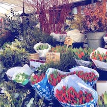 Visit the Boxhagener Platz flea market