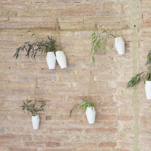 The hanging flowerpots