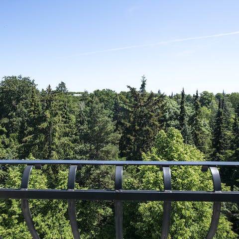 The views of Assistens Cemetery