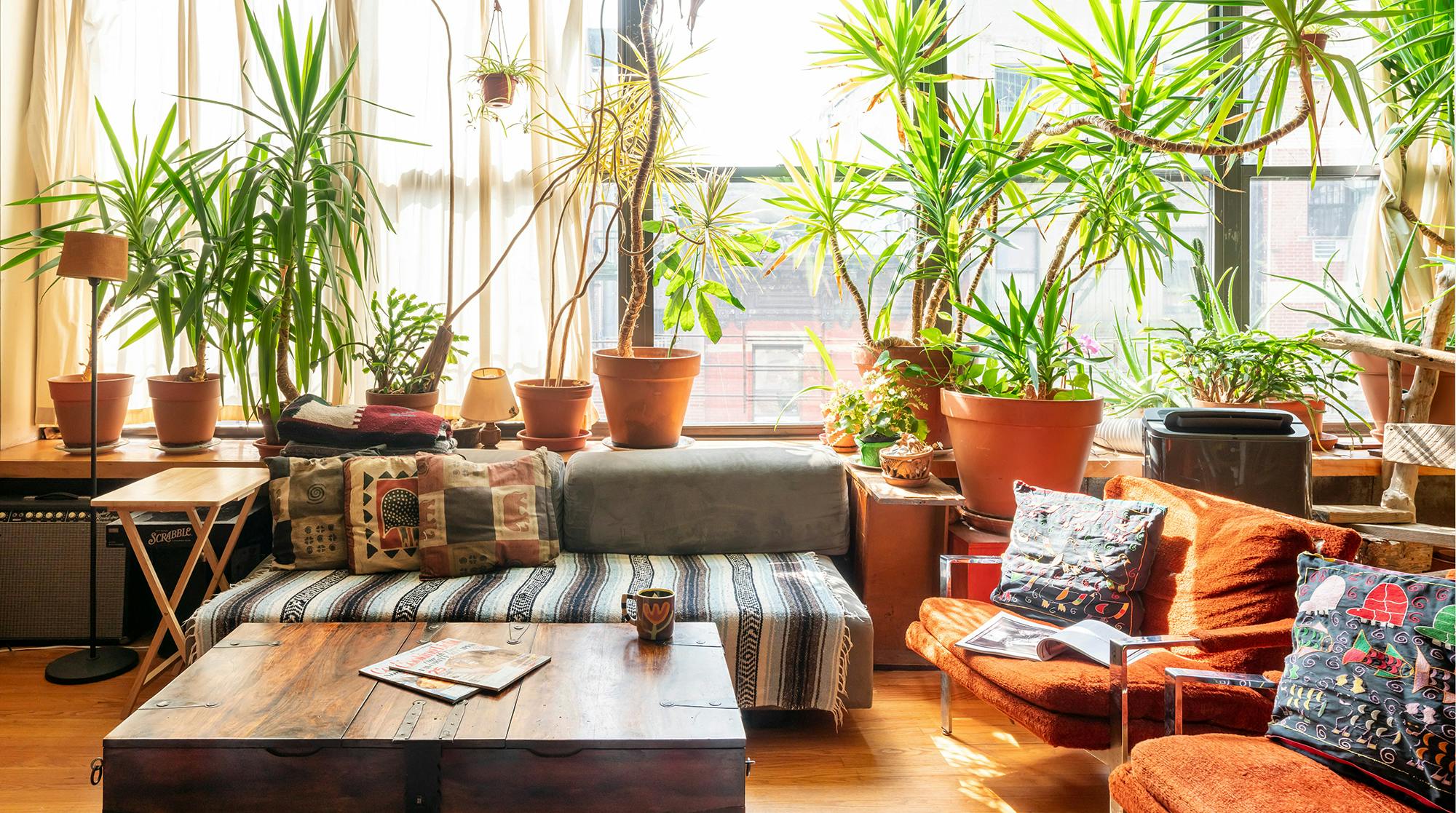 Colours of the Spirit