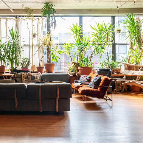 A plant-filled living area