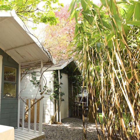 The Man Shed