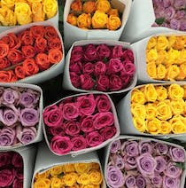 Explore the SOS Flowers Market