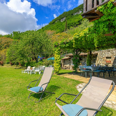 Catch some rays on the lush green lawn