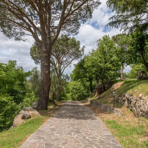 Take a turn around the villa's verdant grounds