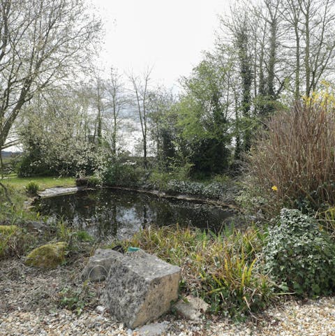 Watch the wildlife around the large pond on the grounds