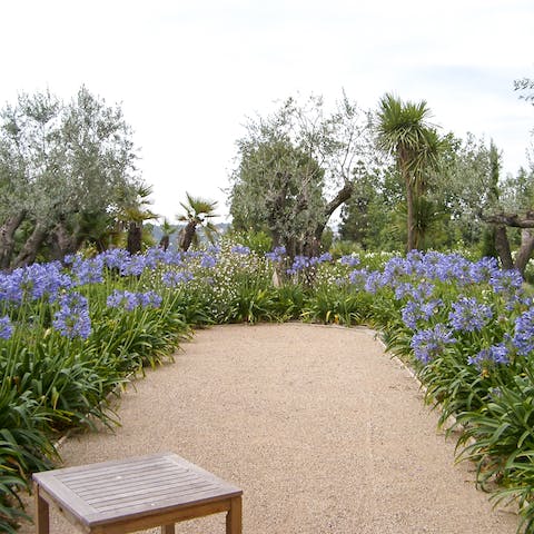 Explore the manicured gardens