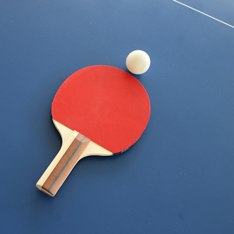 Head to the den and challenge your loved ones to a game of table tennis