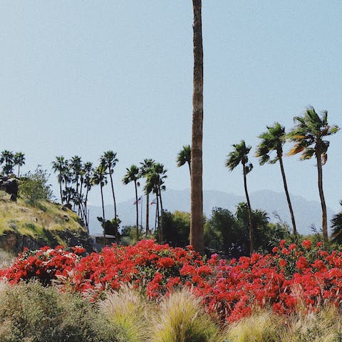 Experience the wonder and magic of desert living from this home in Palm Springs