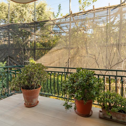 Get some shade from the Italian sun on the terrace