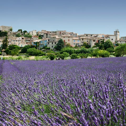 Drive for just a couple of minutes to the sleepy town of Grasse