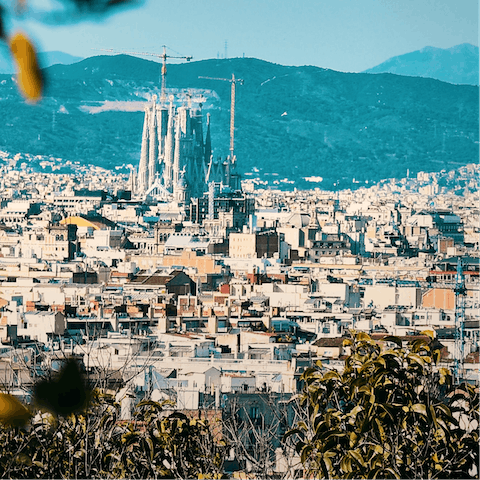 Immerse yourself in the magic of Barcelona from the heart of Eixample