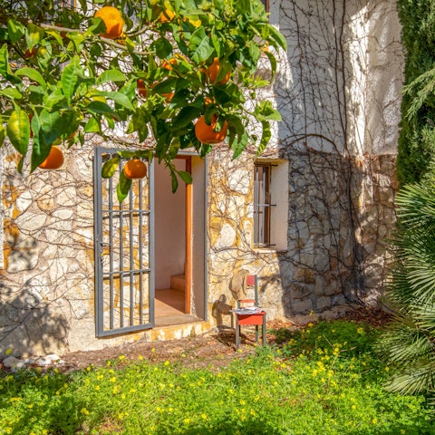 Enjoy some quiet time under the orange trees