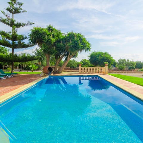 Cool off in the chic, tree-lined pool