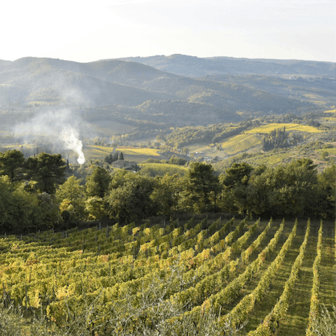 Put on your hiking boots and explore the countryside of Chianti