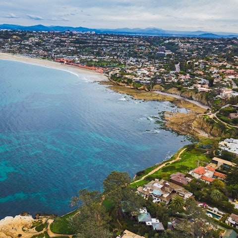 Watch the sea otters playing around in La Jolla Cove