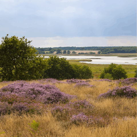 Drive thirty minutes into Woodbridge for a walk along the river Deben