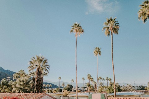 Discover the best of Palm Springs, within easy reach by car