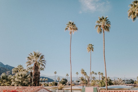 Discover the best of Palm Springs, within easy reach by car