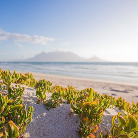 Walk to nearby Blouberg beach for a day of watersports