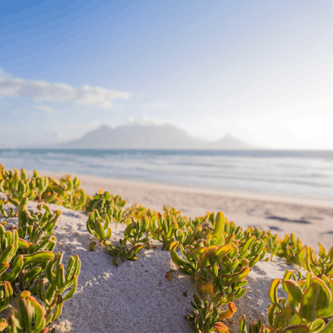 Walk to nearby Blouberg beach for a day of watersports