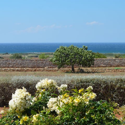 Admire the beautiful sea views from the terrace