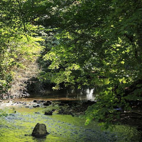 Let your kids' imaginations run wild as they explore 30 acres of gardens