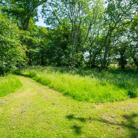 Explore the vast private woodlands surrounding the home