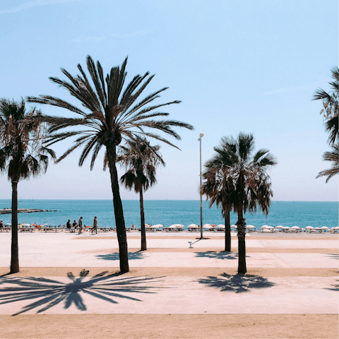 Spend an afternoon swimming and relaxing on the beach