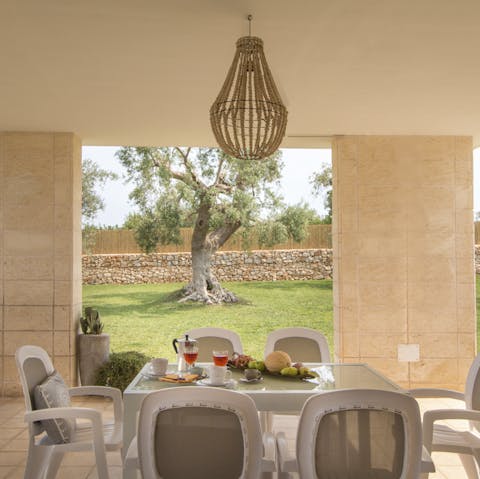 Dine on the covered terrace looking out over the ancient olive trees