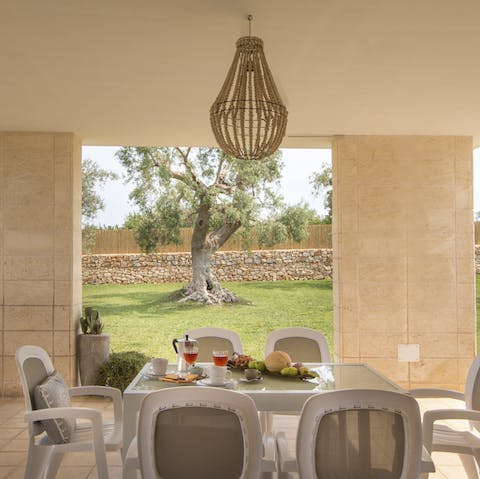 Dine on the covered terrace looking out over the ancient olive trees