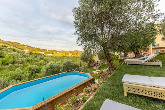 Olive Grove Serenade